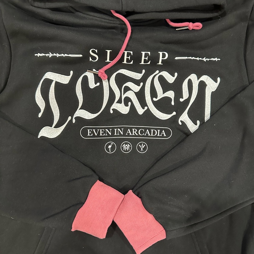 SLEEP TOKEN 🦩hoodie - Picture 3 of 6